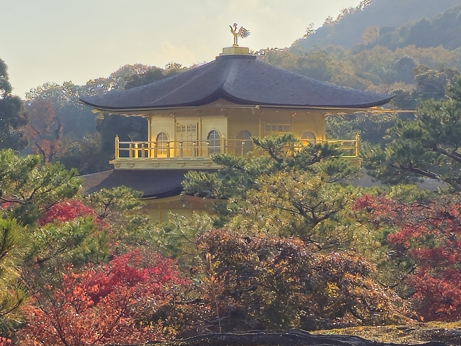 Kinkaku-ji (Golden Pavilion) — photo 3