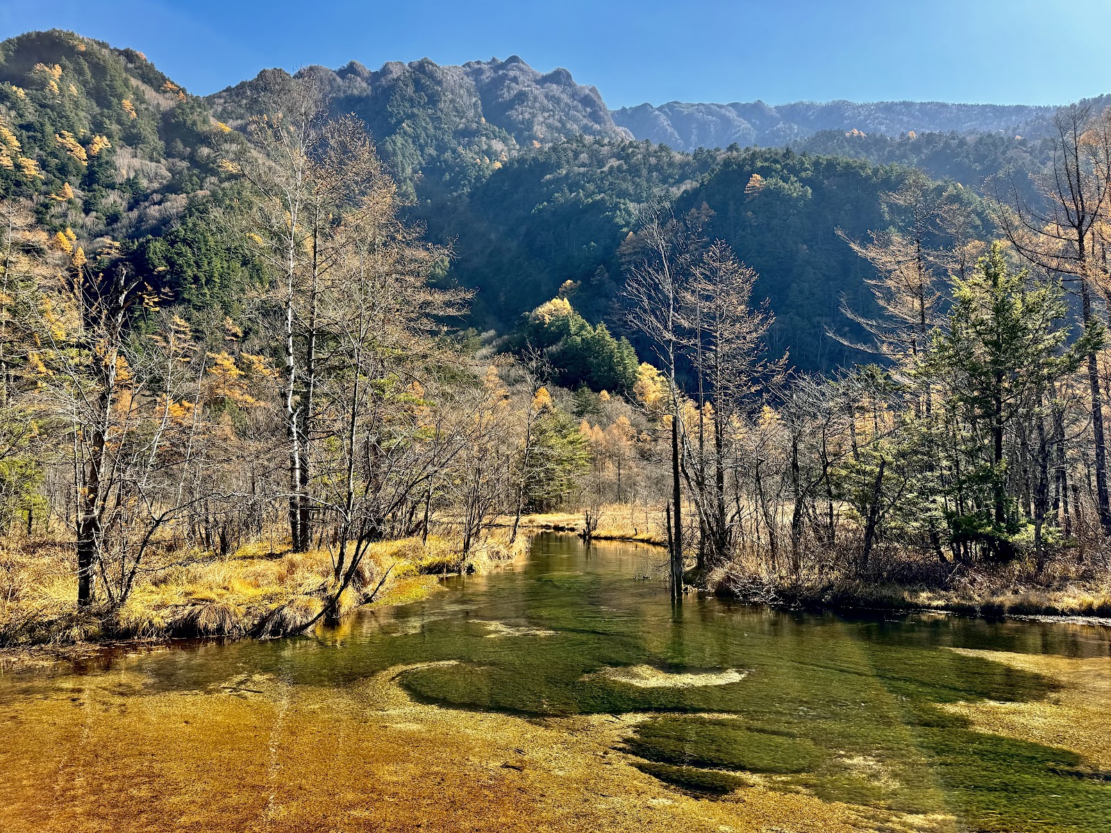 Tashiro Pond