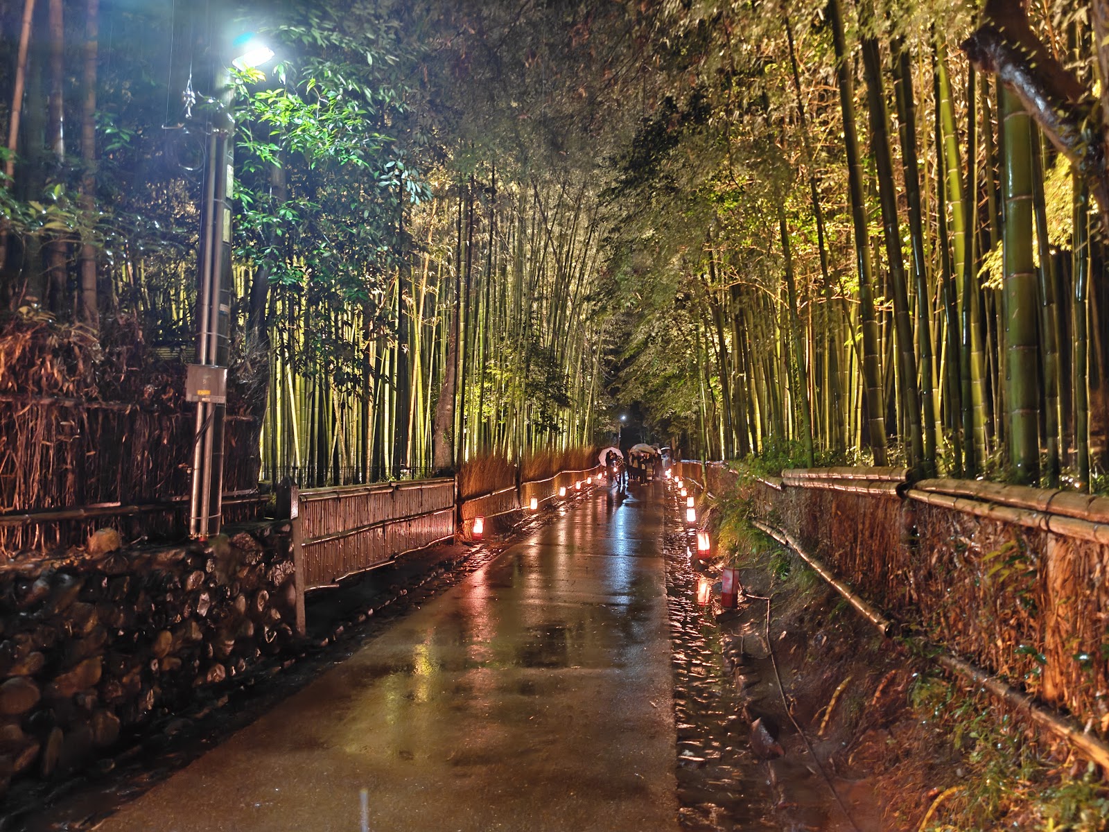 Arashiyama Bamboo Grove — photo 2