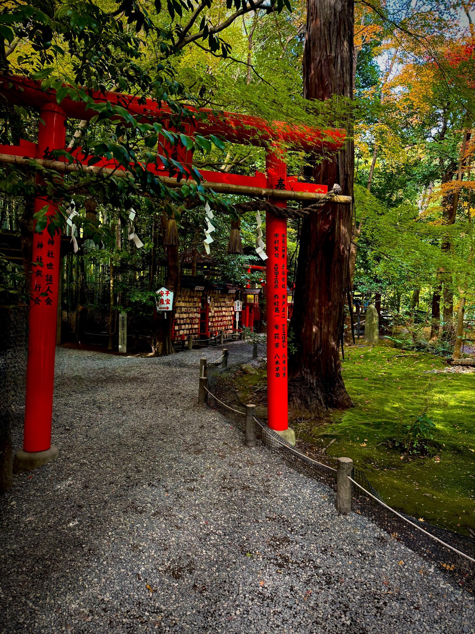 Arashiyama Bamboo Grove — photo 5