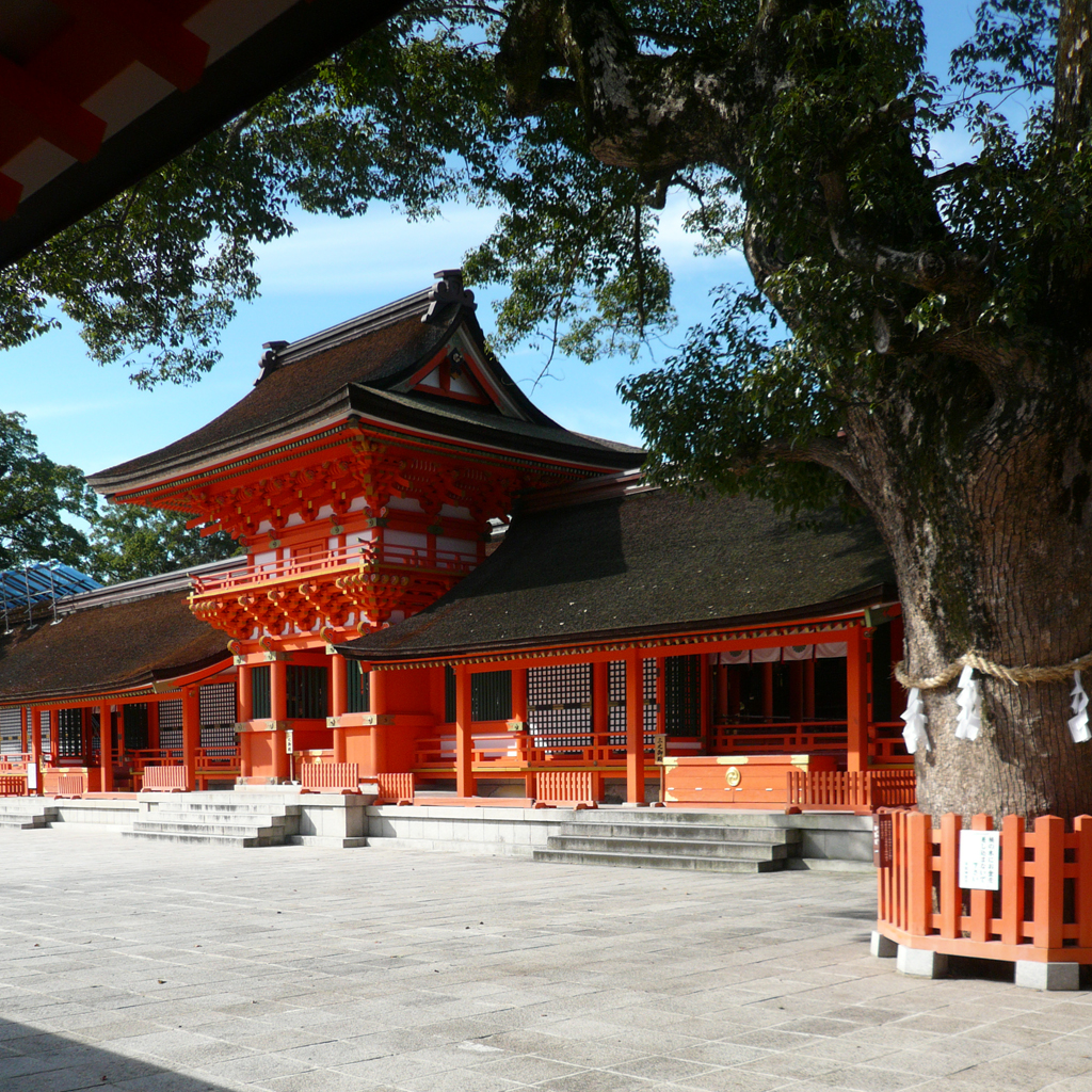 Usa Jingu
