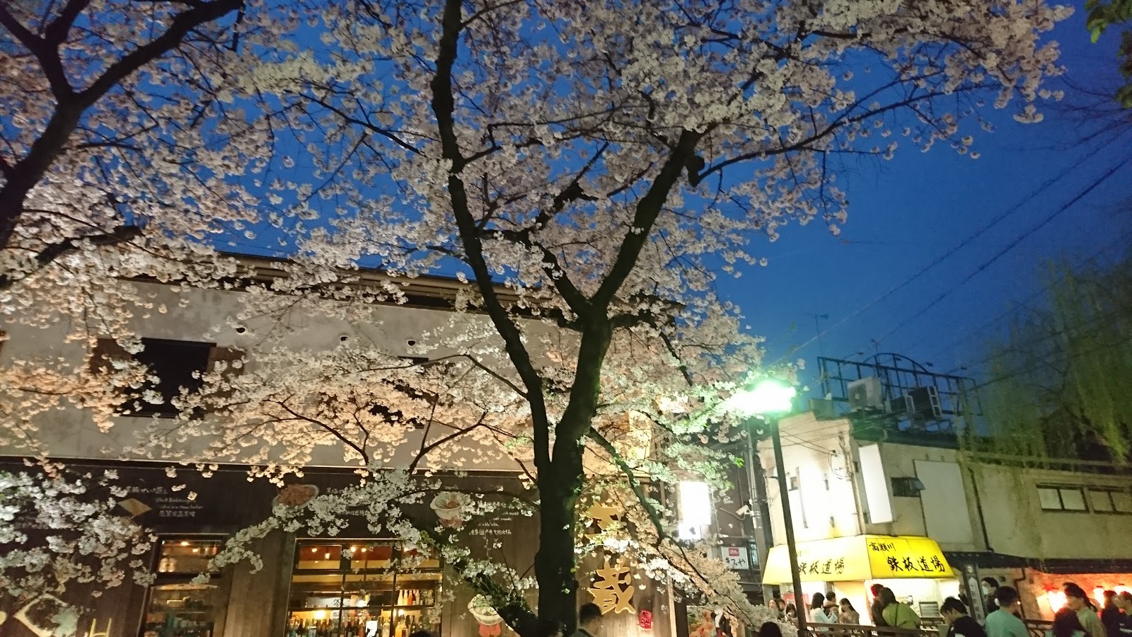 Gion District — photo 2