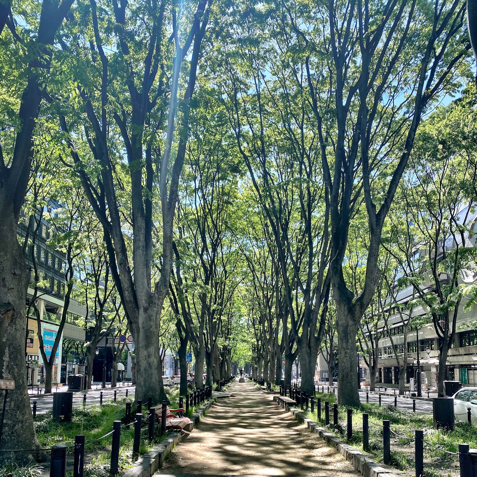 Jozenji-dori Avenue