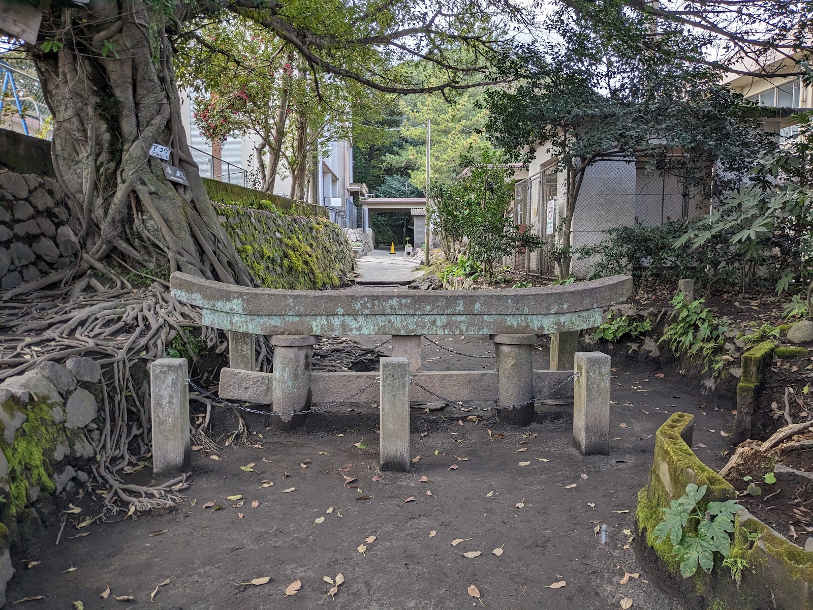 Kurokami Buried Torii Gate