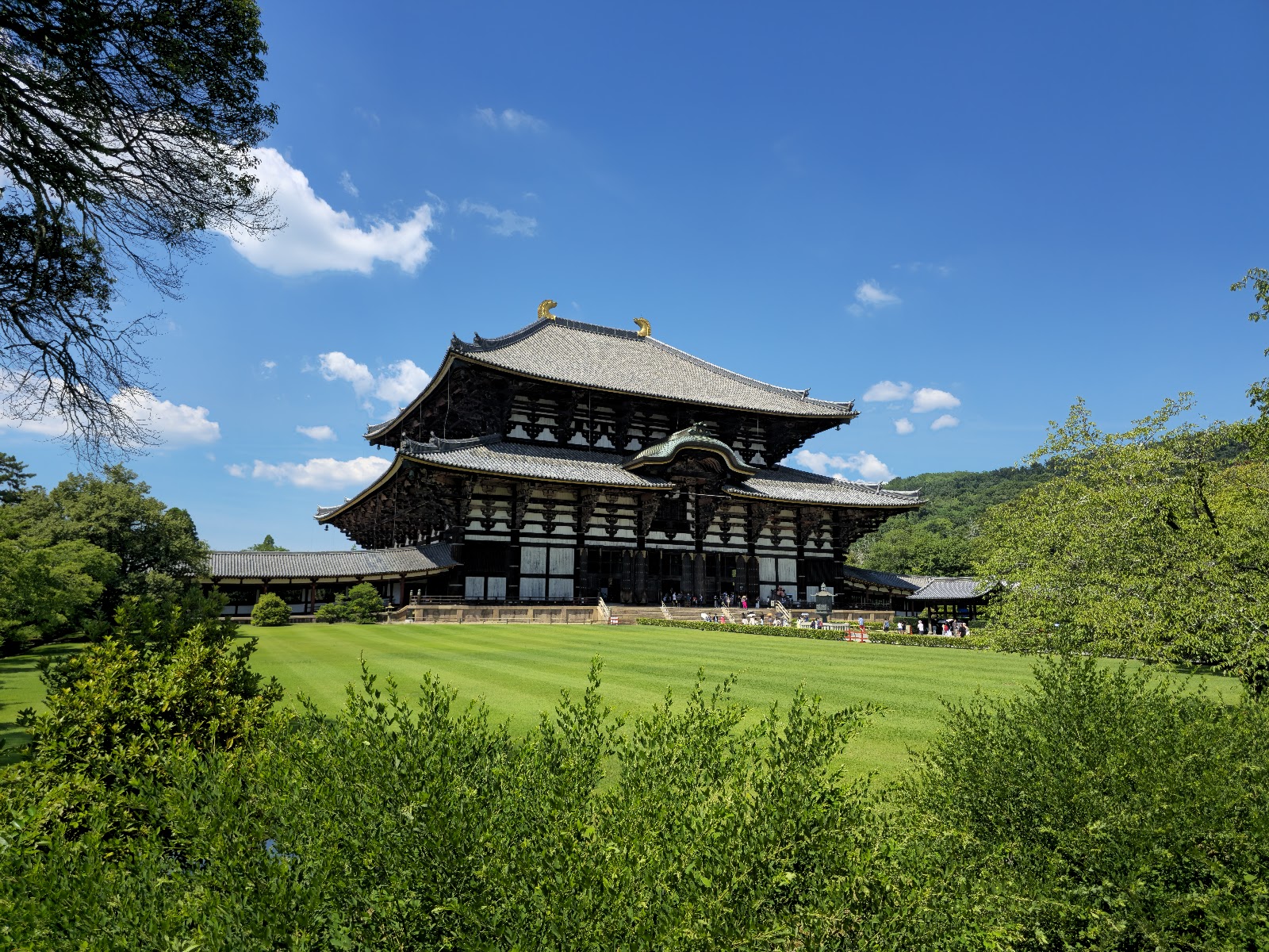 Nara Park — photo 1