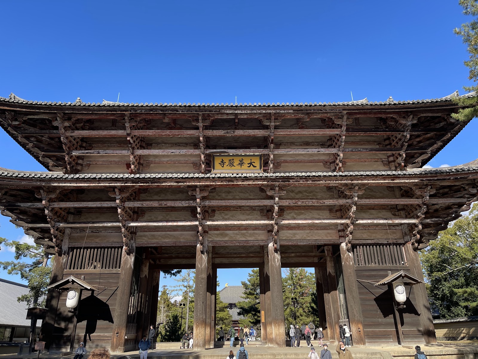 Nara Park — photo 2