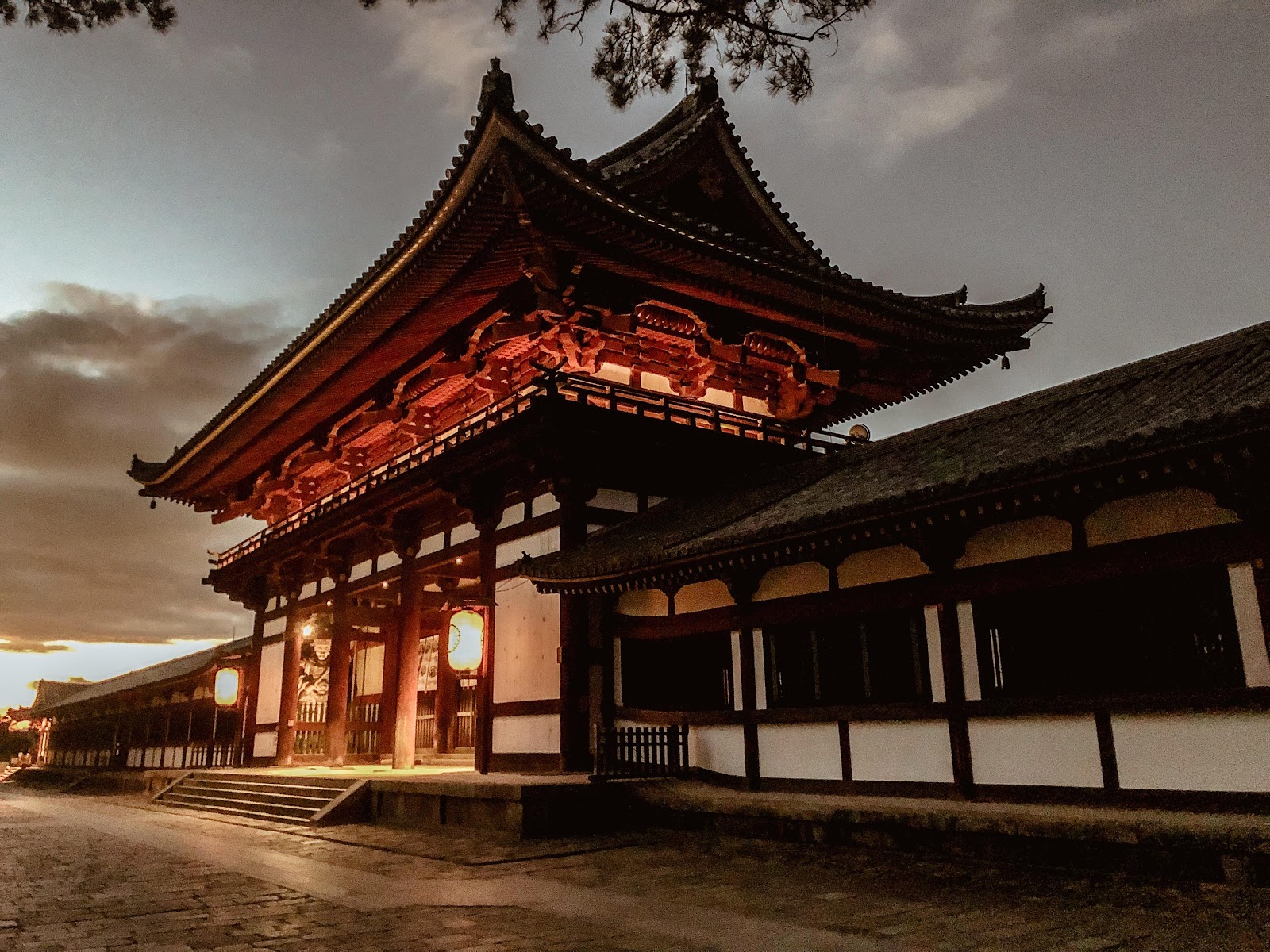 Nara Park — photo 4