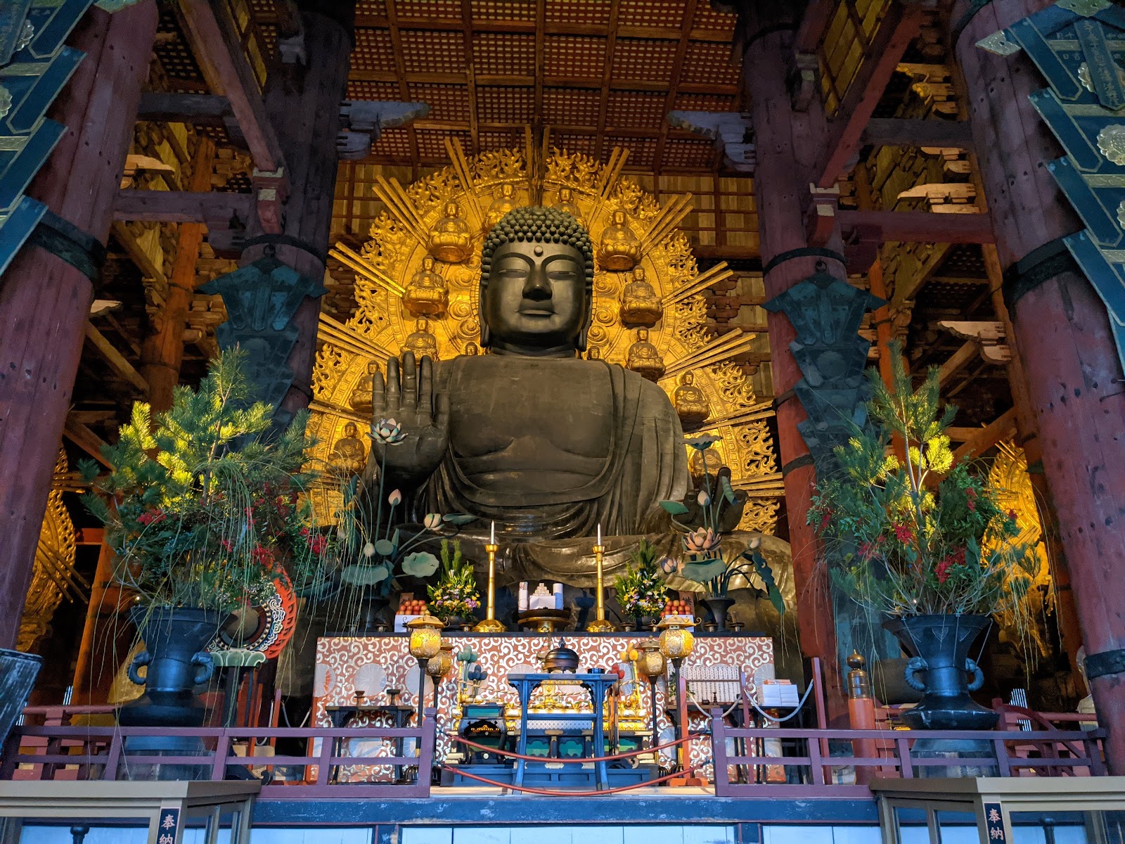 Nara Park — photo 5