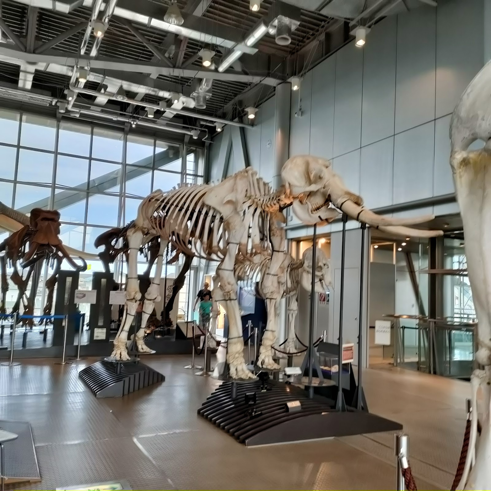 Sendai Science Museum