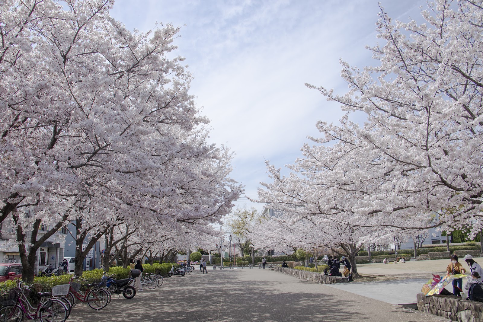 Karoyashiki-ato Park