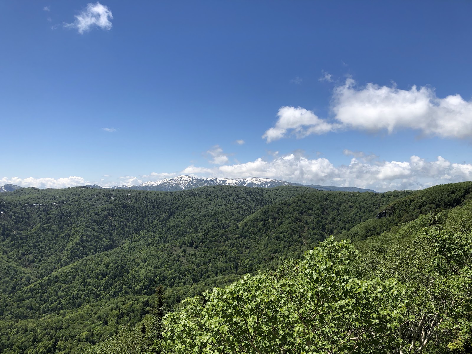 Mount Teine Highland Observation