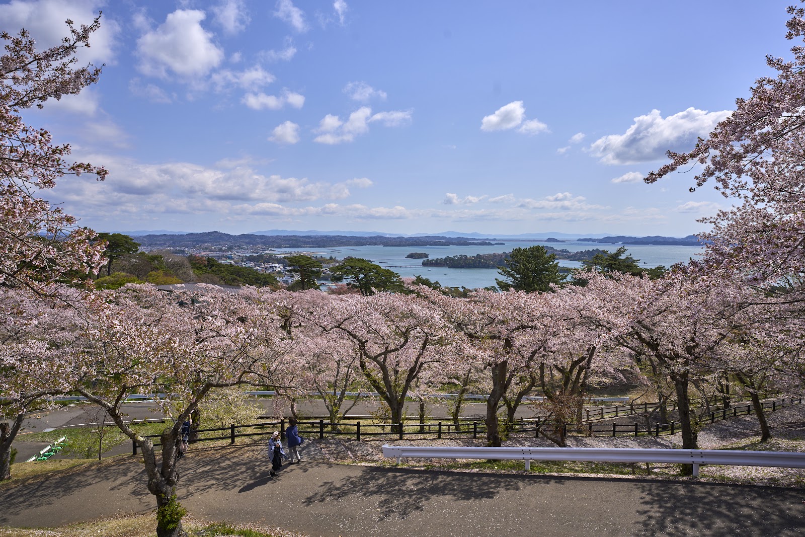 Saigyo Modoshi no Matsu Park