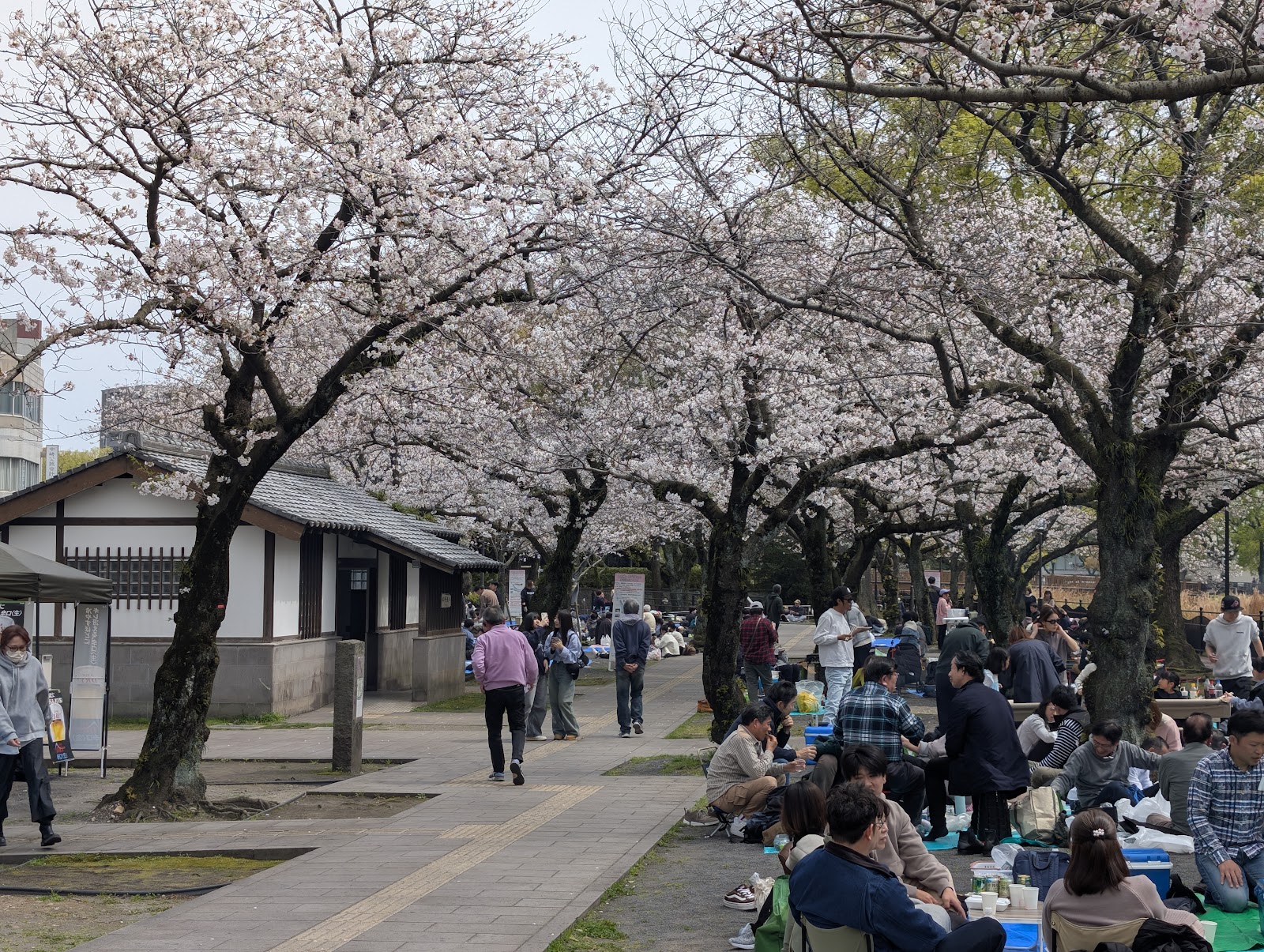 Ishin Furusato no Michi