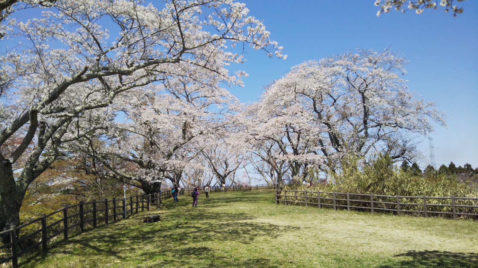 Iwakiri Castle Ruins (Takamoriyama Park)