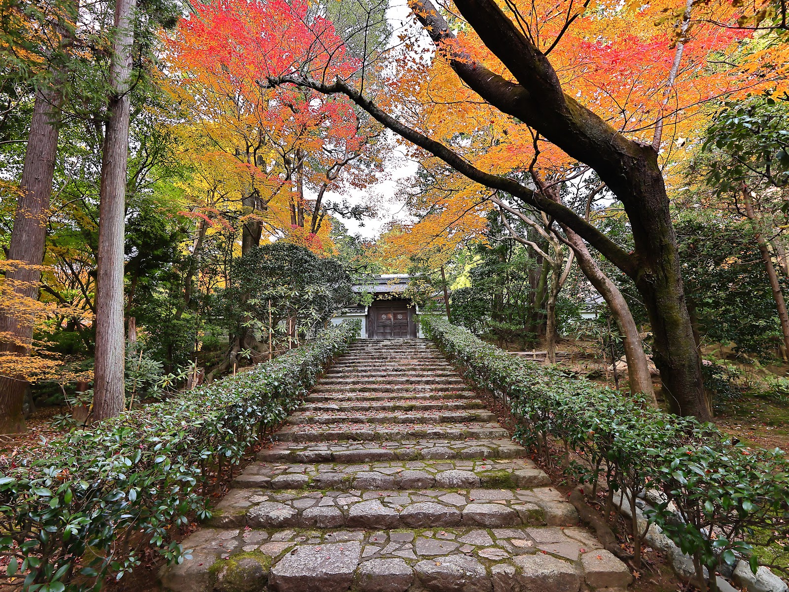 Ryoan-ji — photo 3