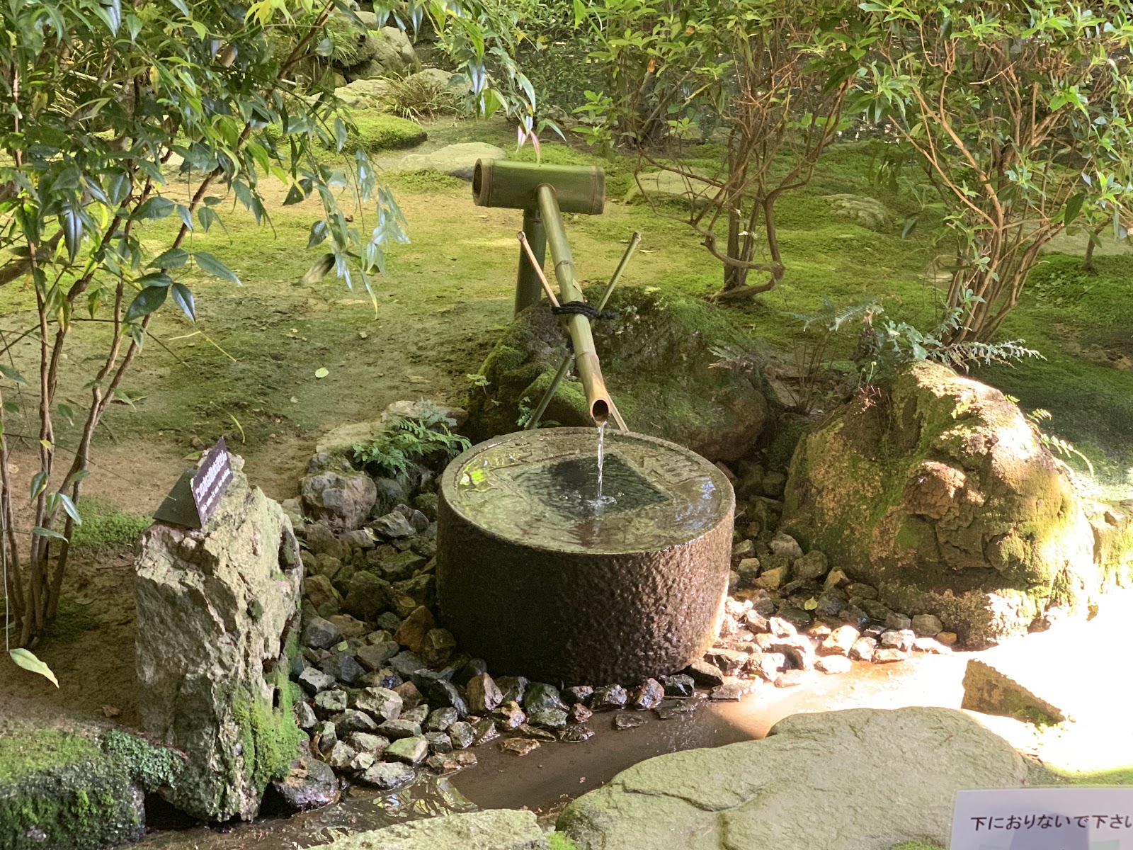 Ryoan-ji — photo 5
