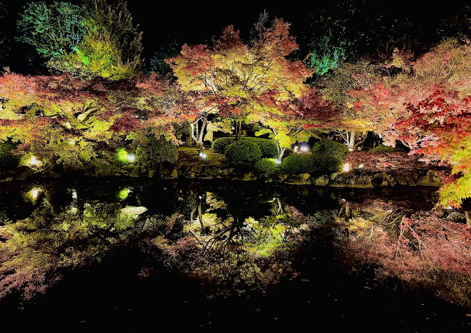 To-ji — photo 4