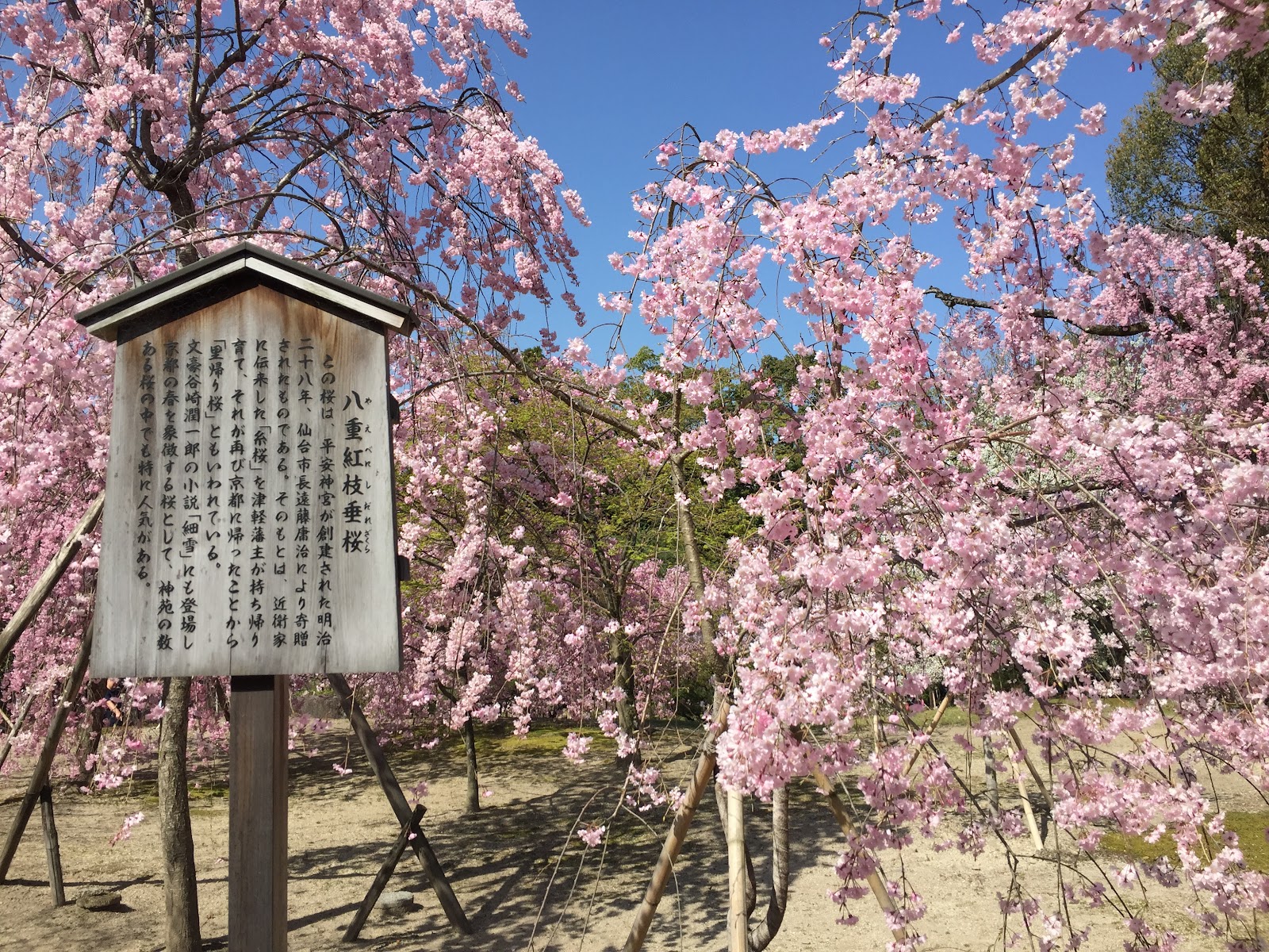 Heian Shrine — photo 5