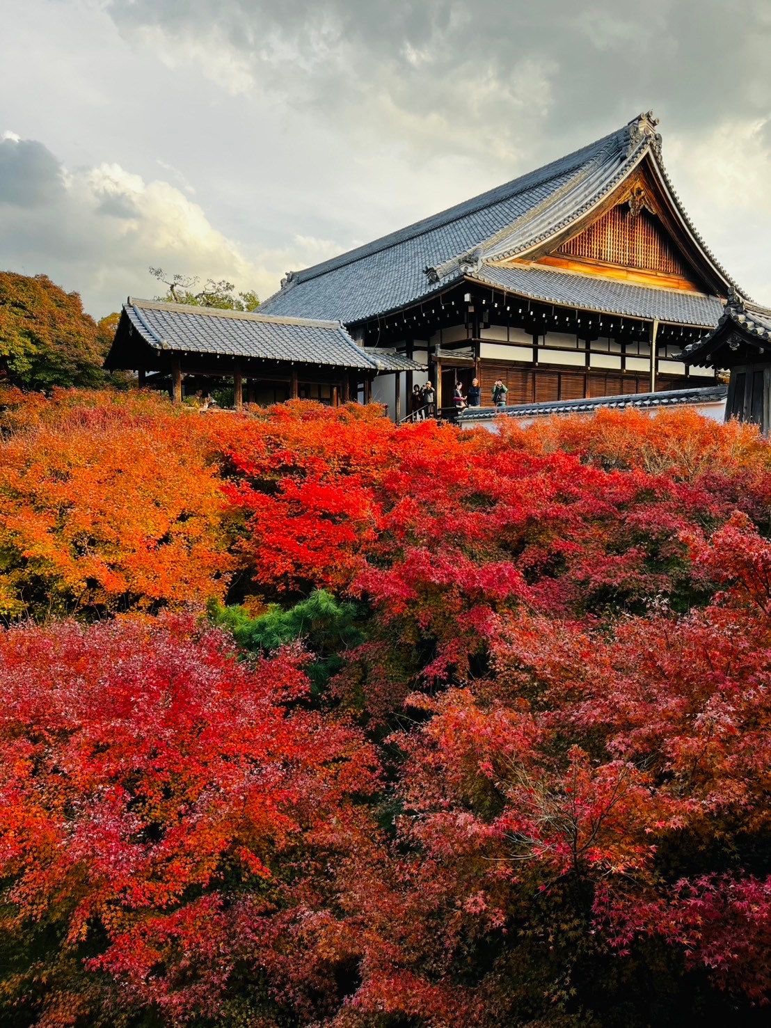 Tofuku-ji — photo 2
