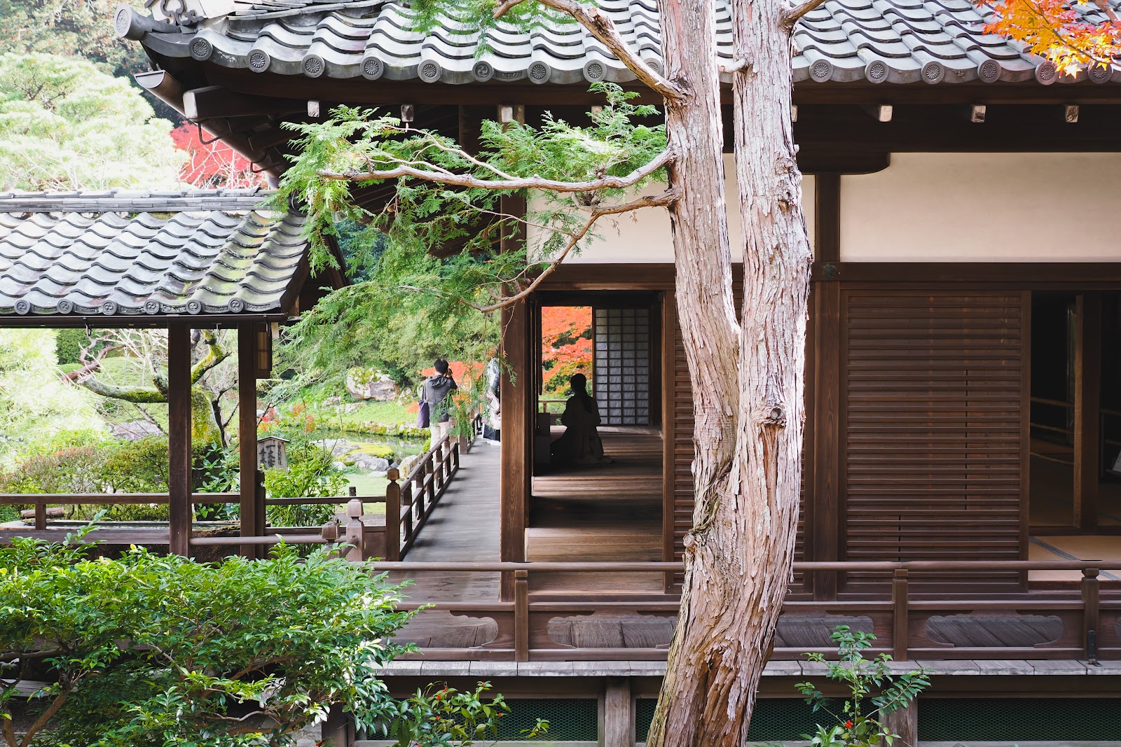 Shoren-in — photo 5