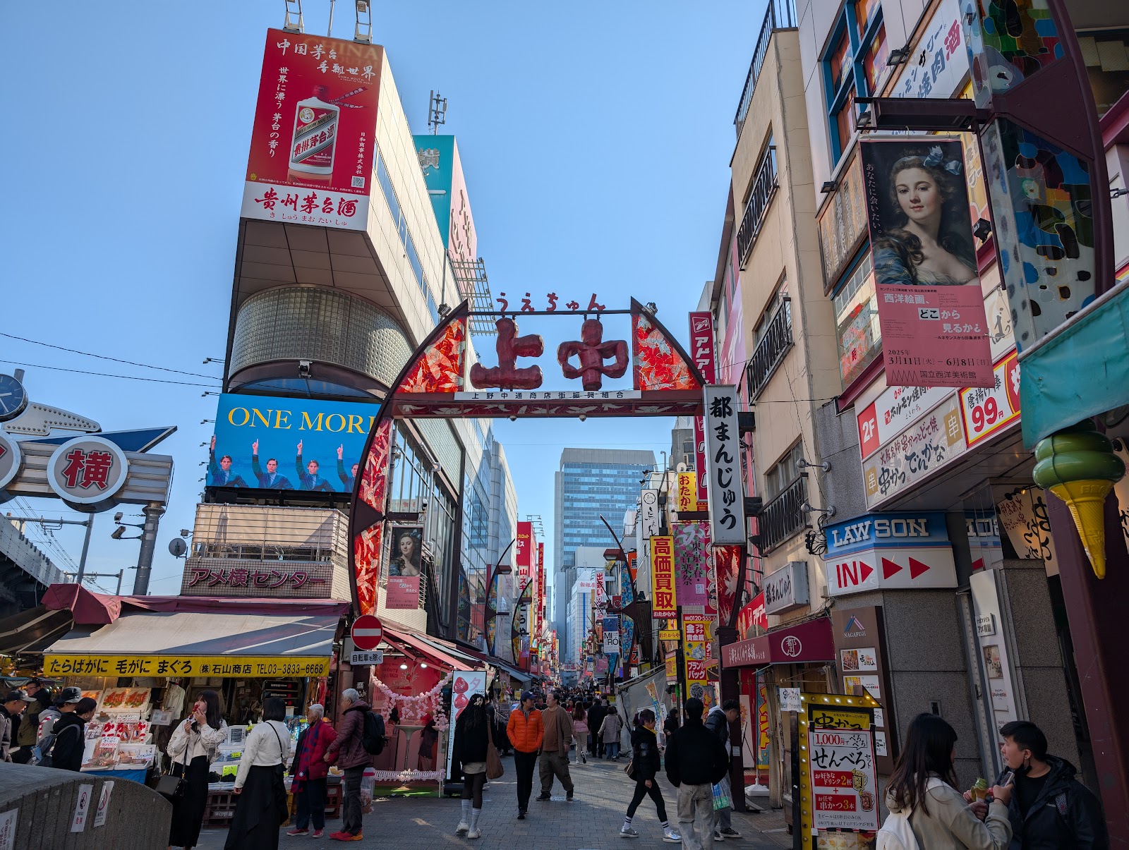 Ameya-Yokocho (Ameyoko) — photo 1