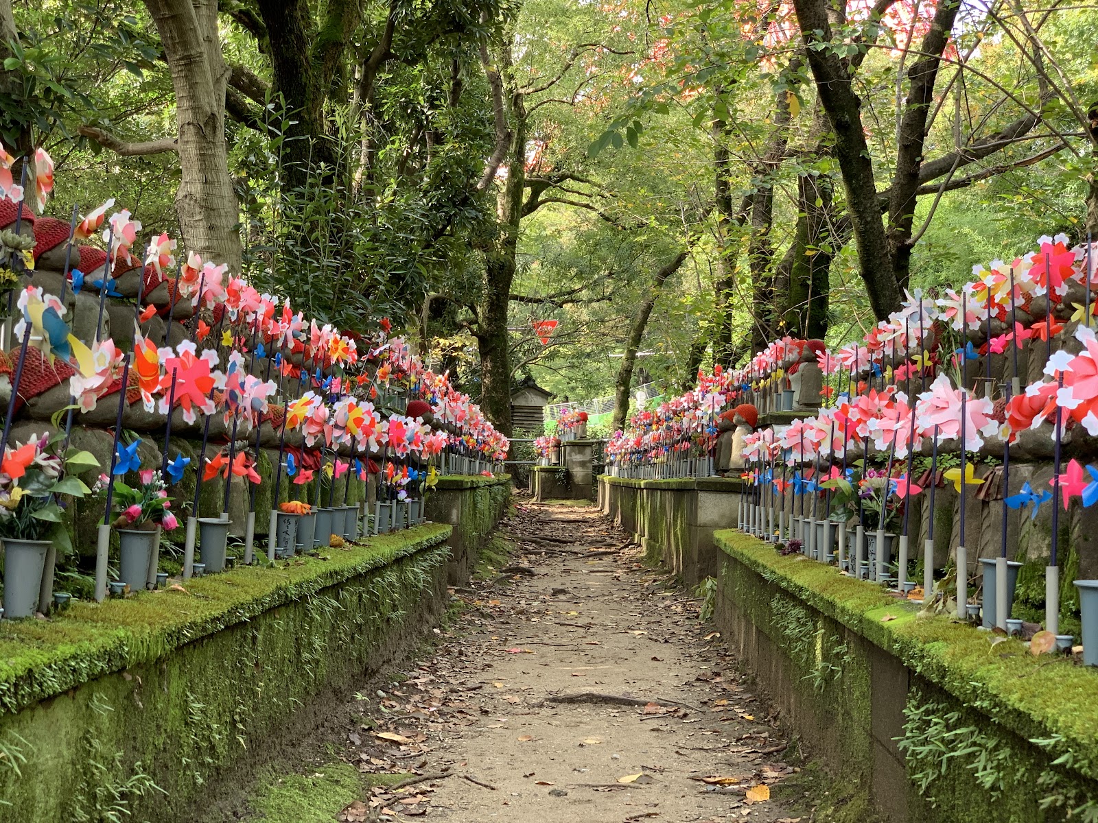 Zōjō-ji — photo 3