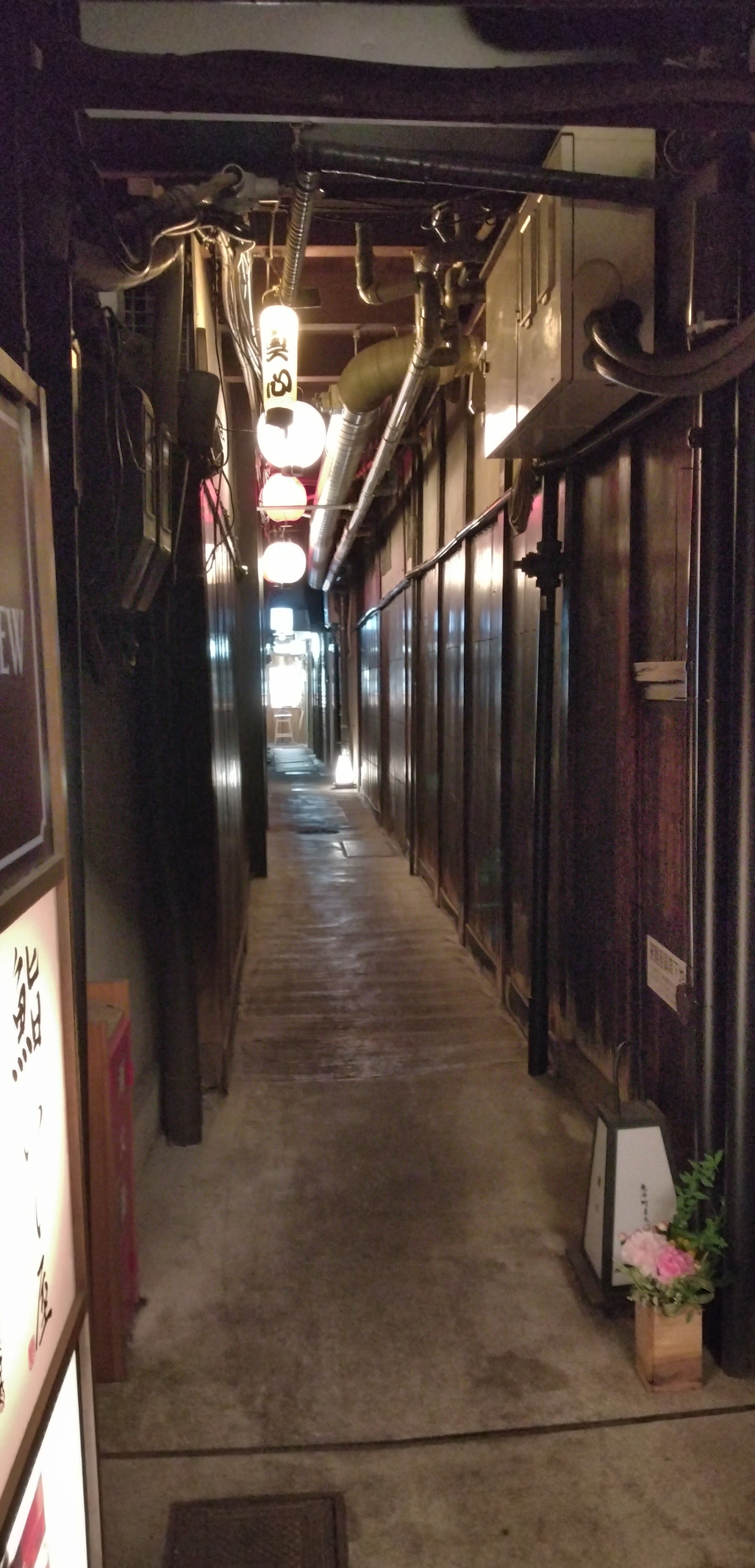Pontocho Alley — photo 4