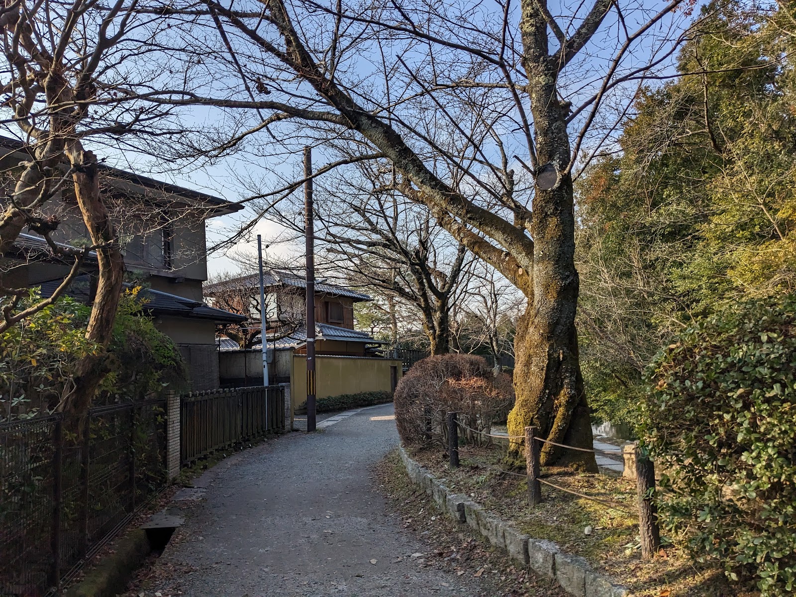 Philosopher's Path — photo 2