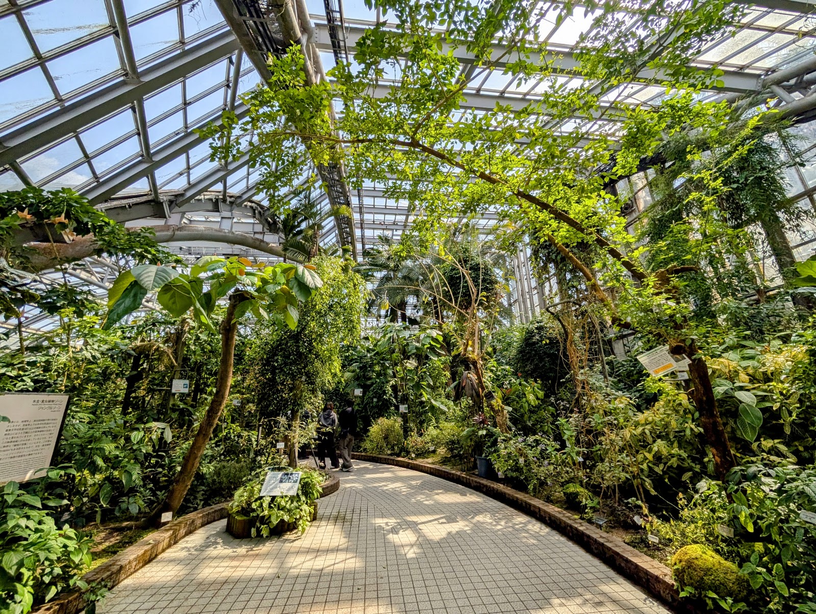 Kyoto Botanical Garden — photo 1