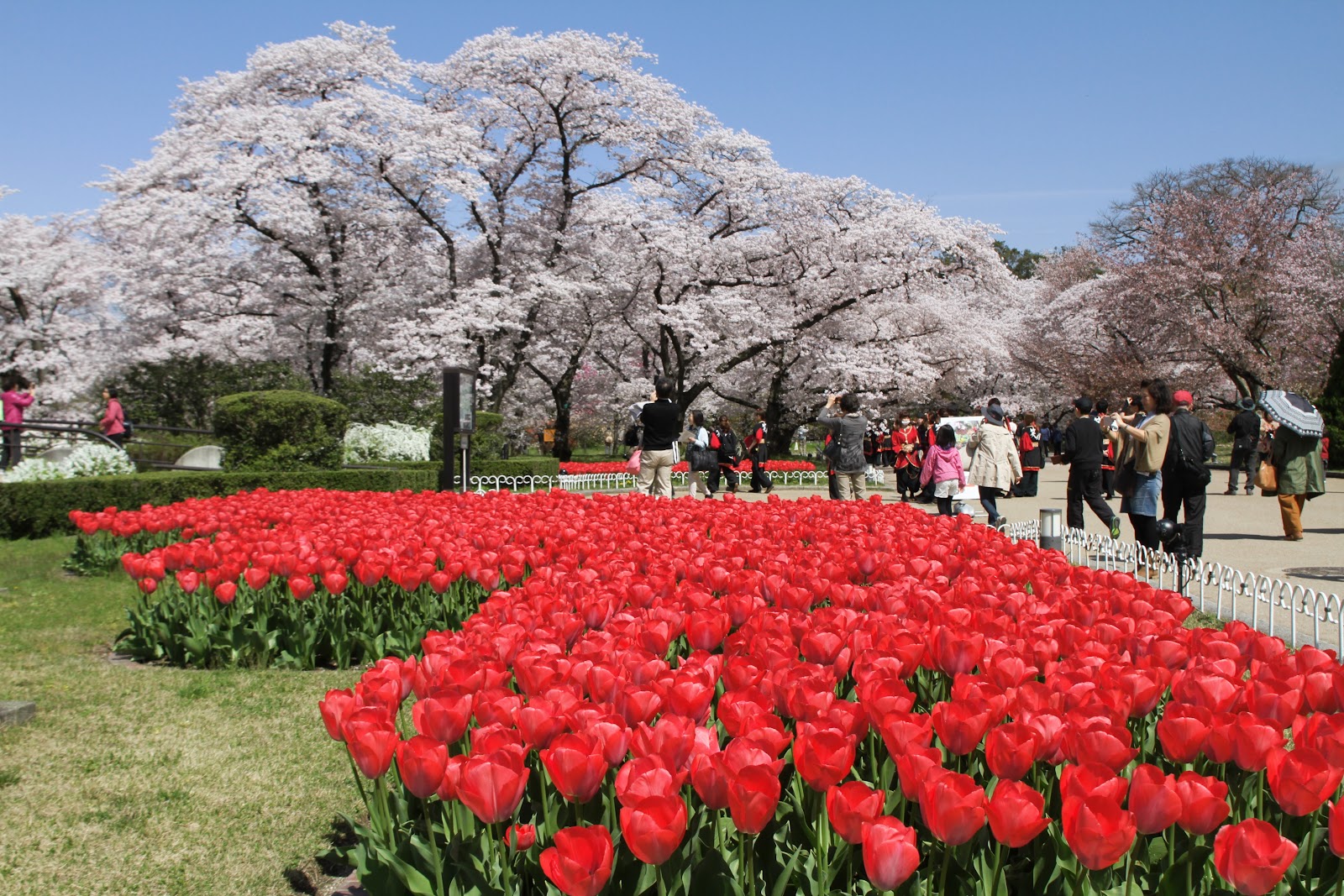 Kyoto Botanical Garden — photo 3