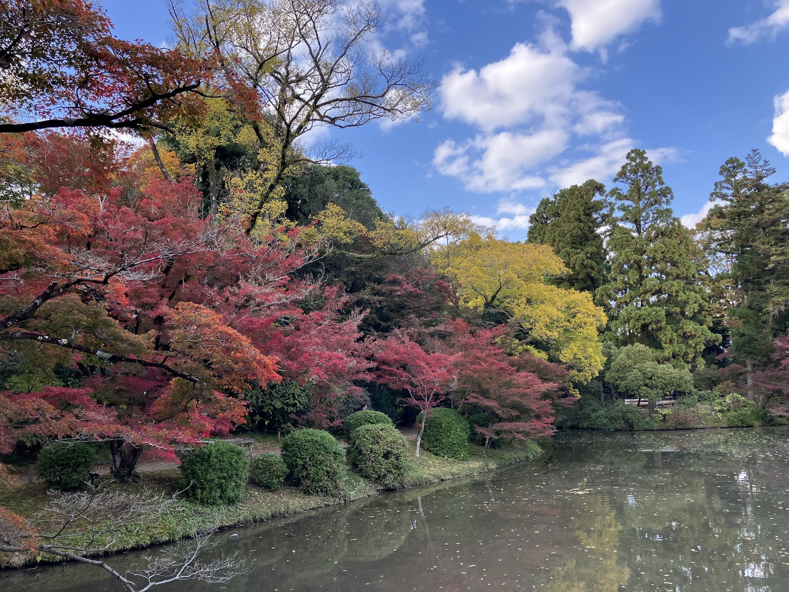 Kyoto Botanical Garden — photo 4