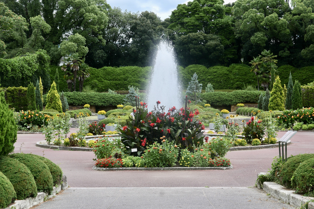 Kyoto Botanical Garden — photo 5