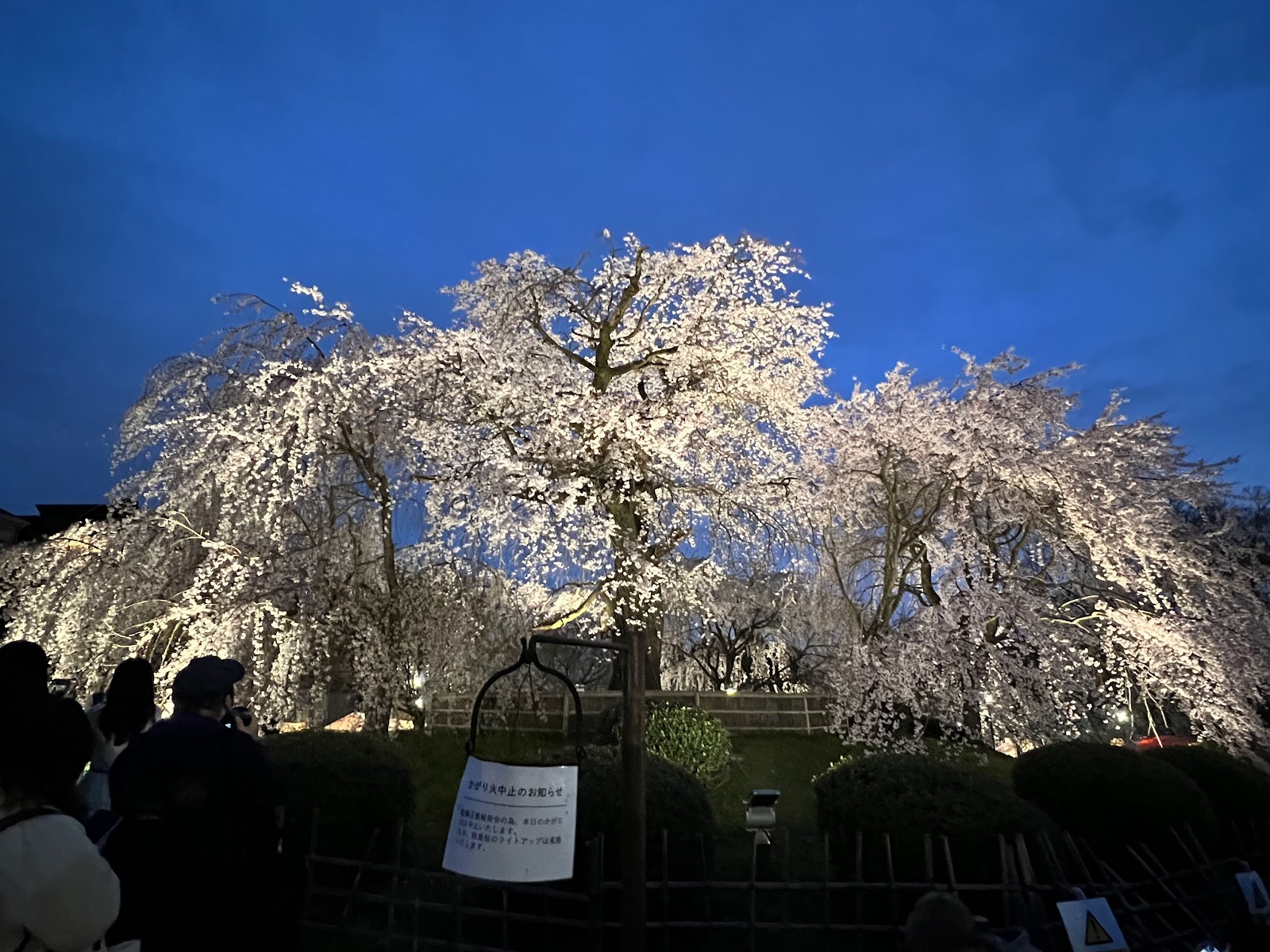 Maruyama Park — photo 4