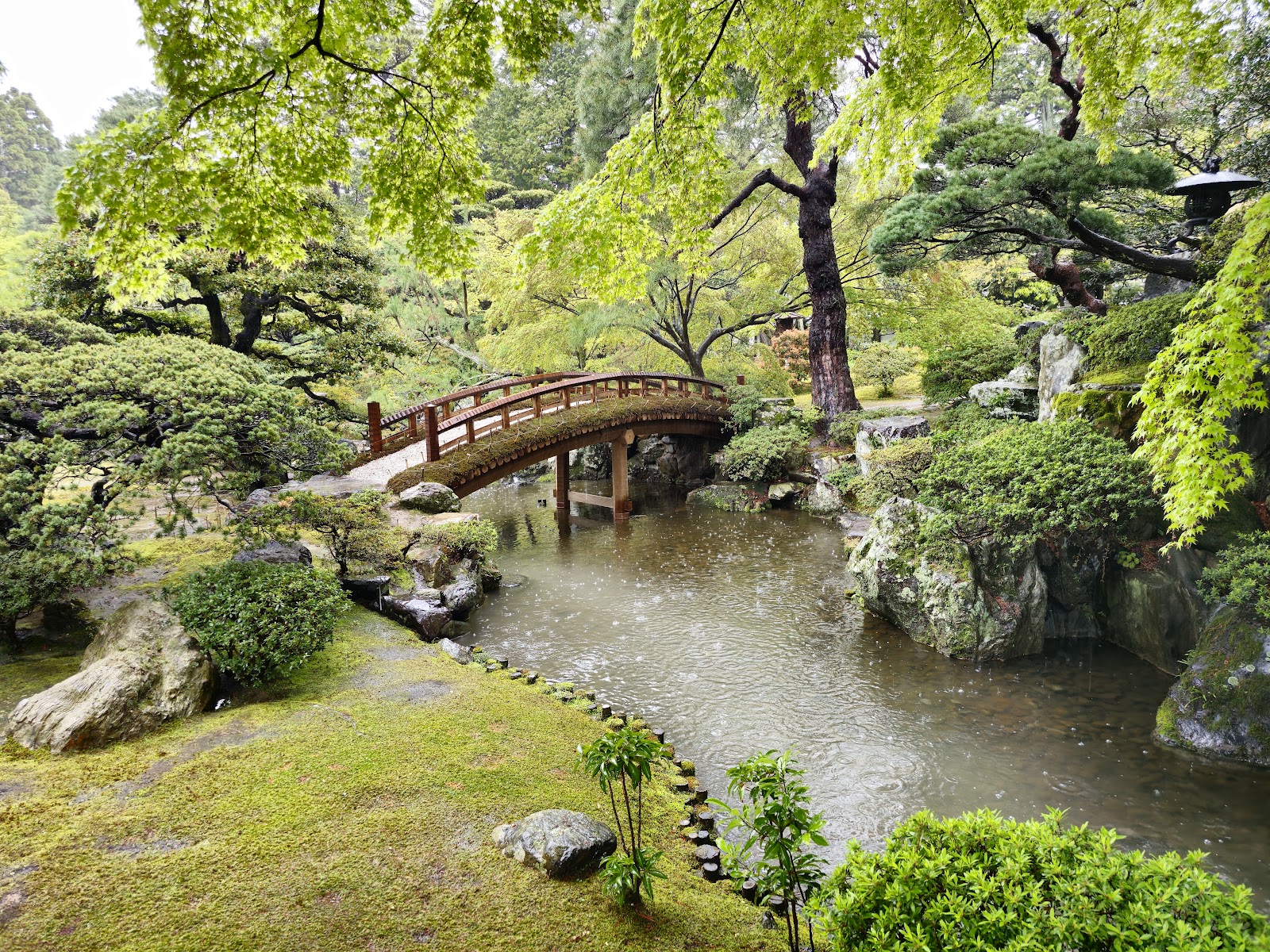 Kyoto Gyoen National Garden — photo 2