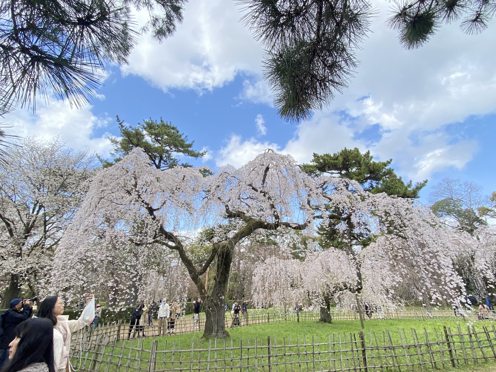 Kyoto Gyoen National Garden — photo 3