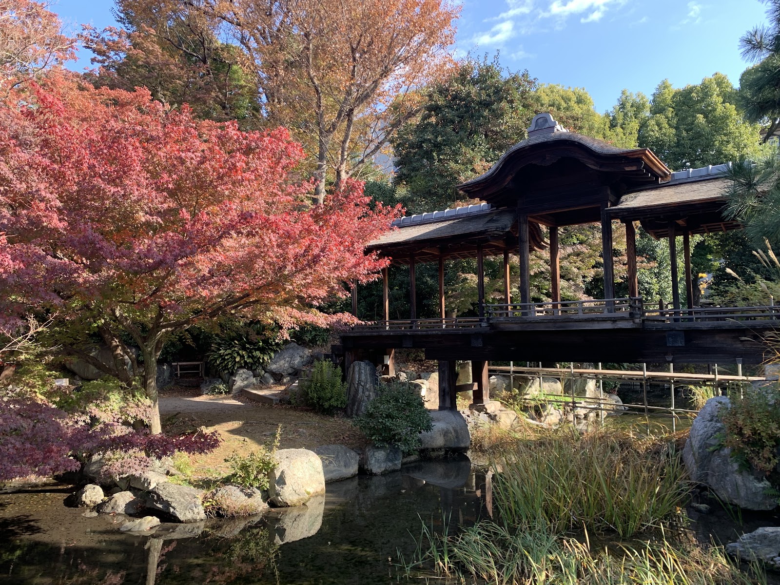 Shosei-en Garden — photo 1