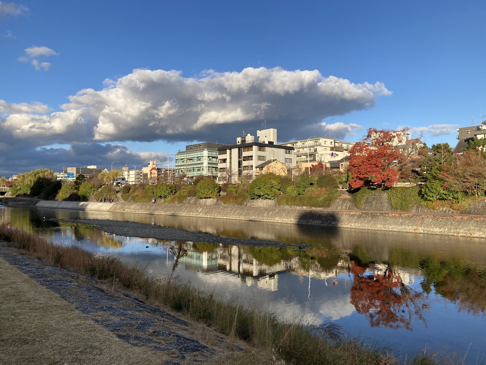 Kamo River — photo 1