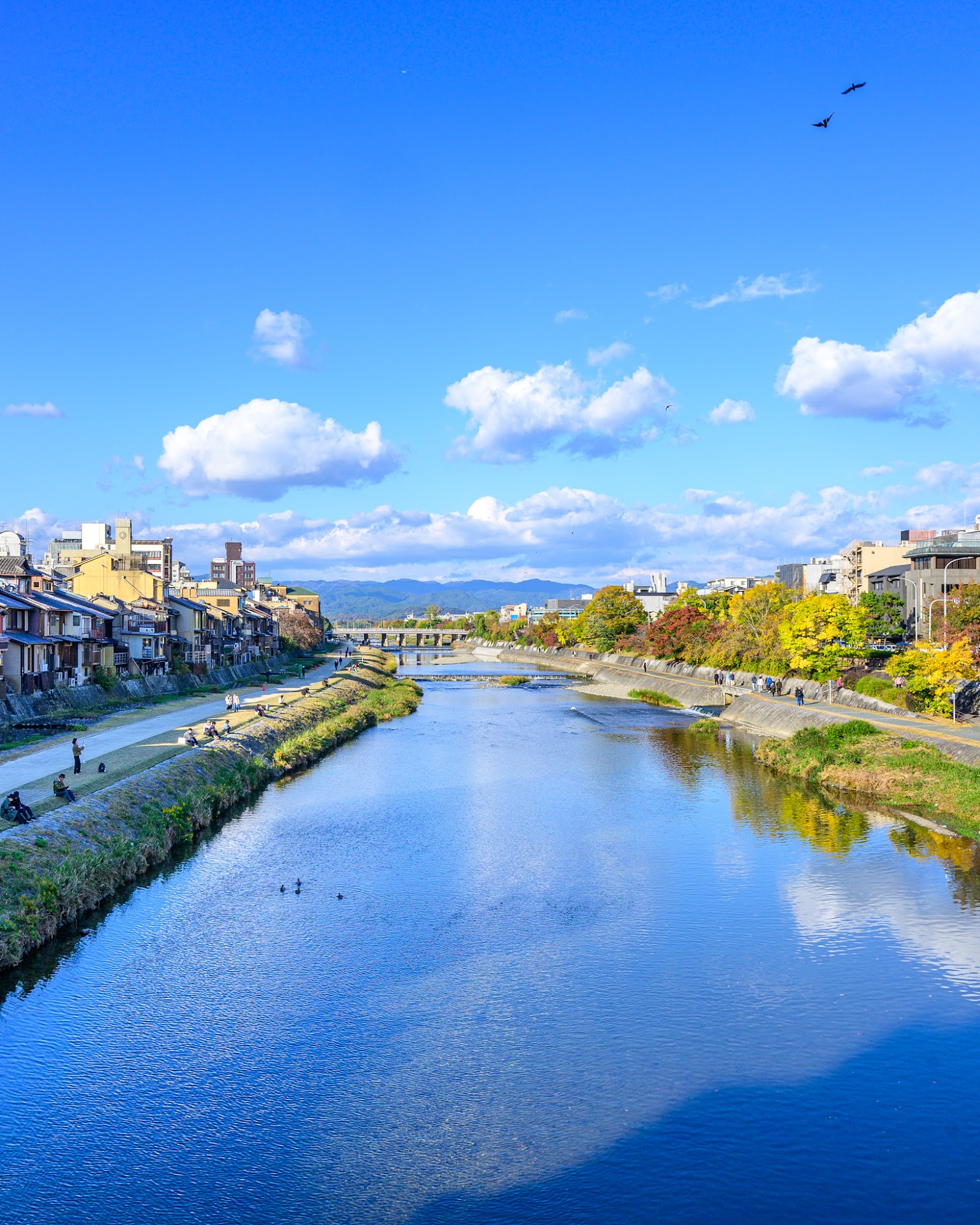 Kamo River — photo 2