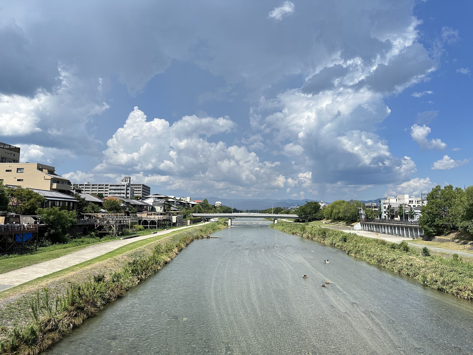 Kamo River — photo 3