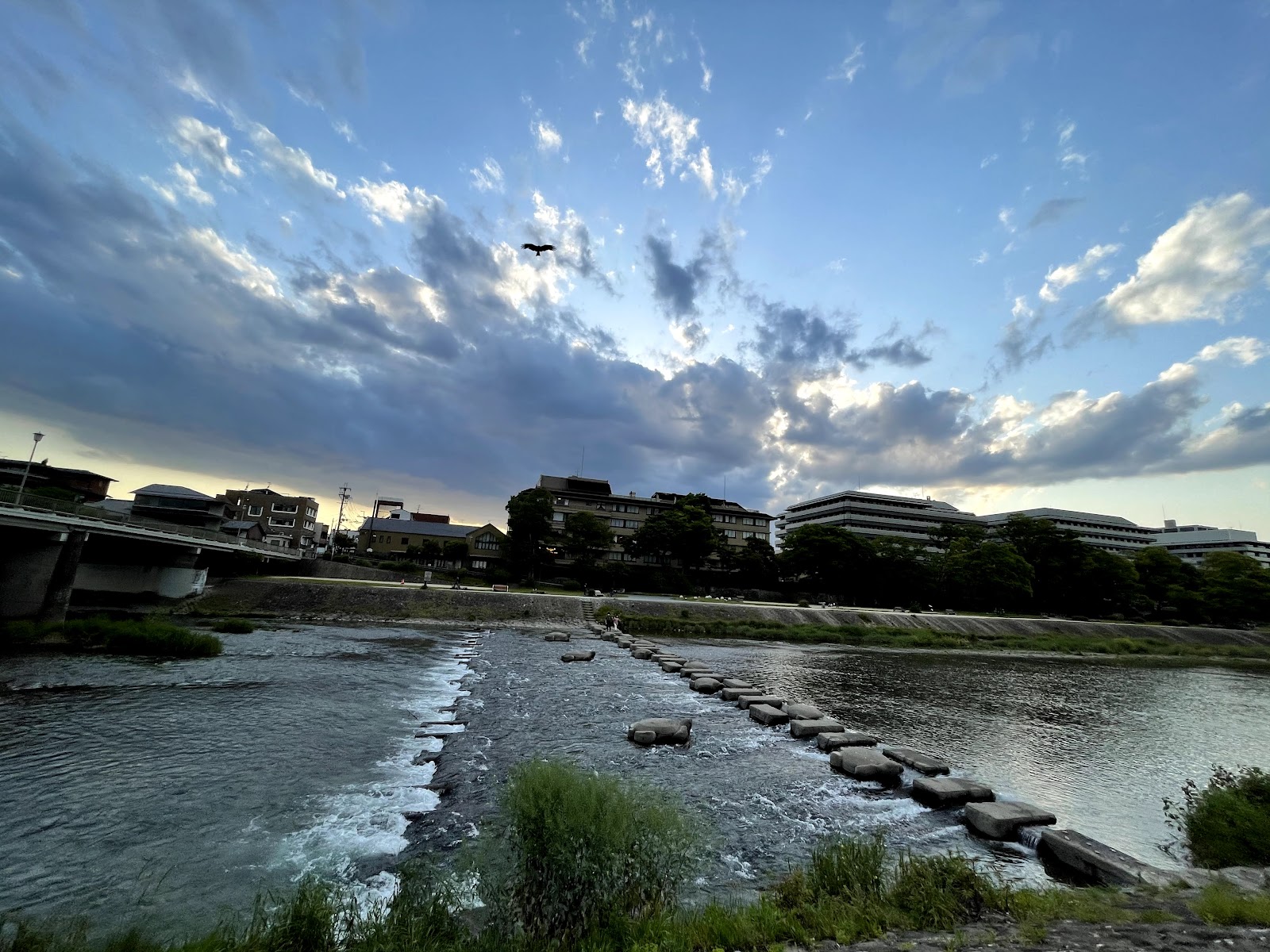 Kamo River — photo 4