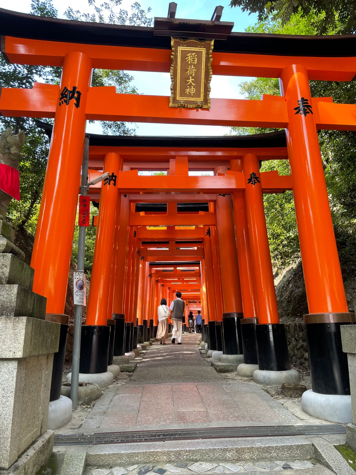 Arashiyama Monkey Park Iwatayama — photo 5