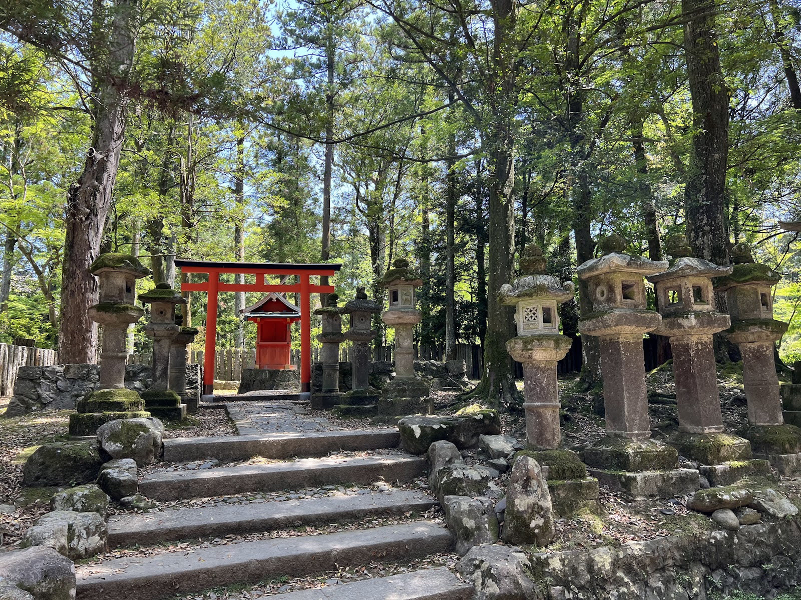 Kasuga Taisha — photo 4