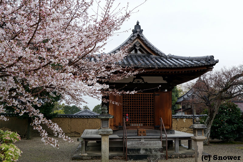 Shin-Yakushi-ji — photo 3