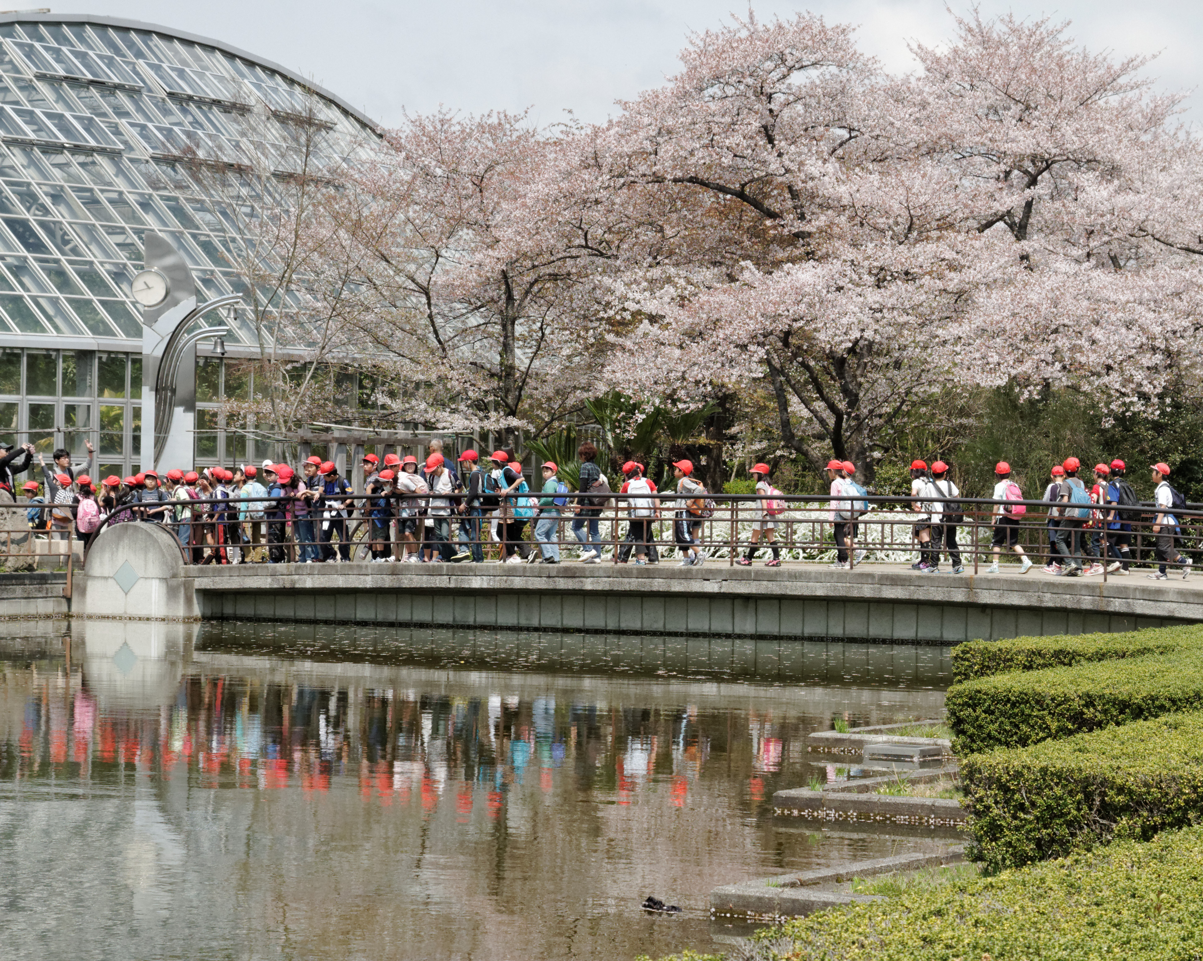 Kyoto Botanical Garden