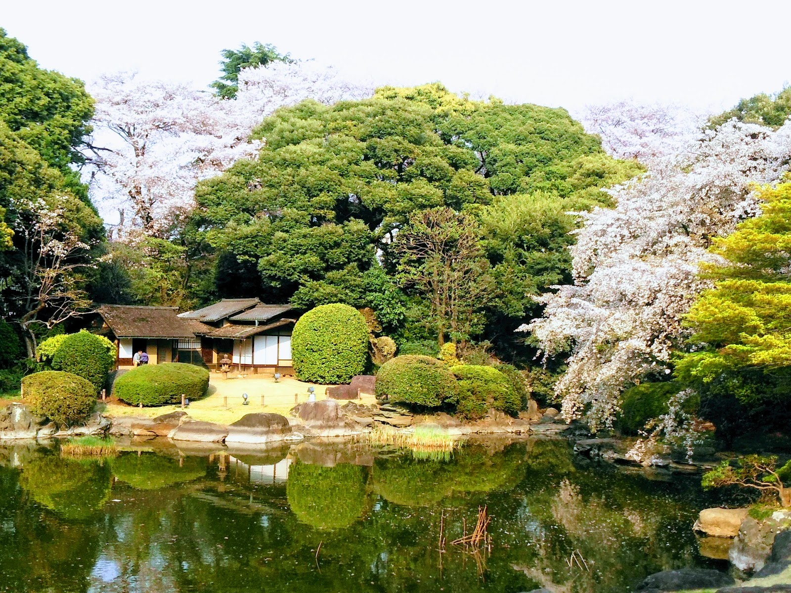 Tokyo National Museum — photo 5