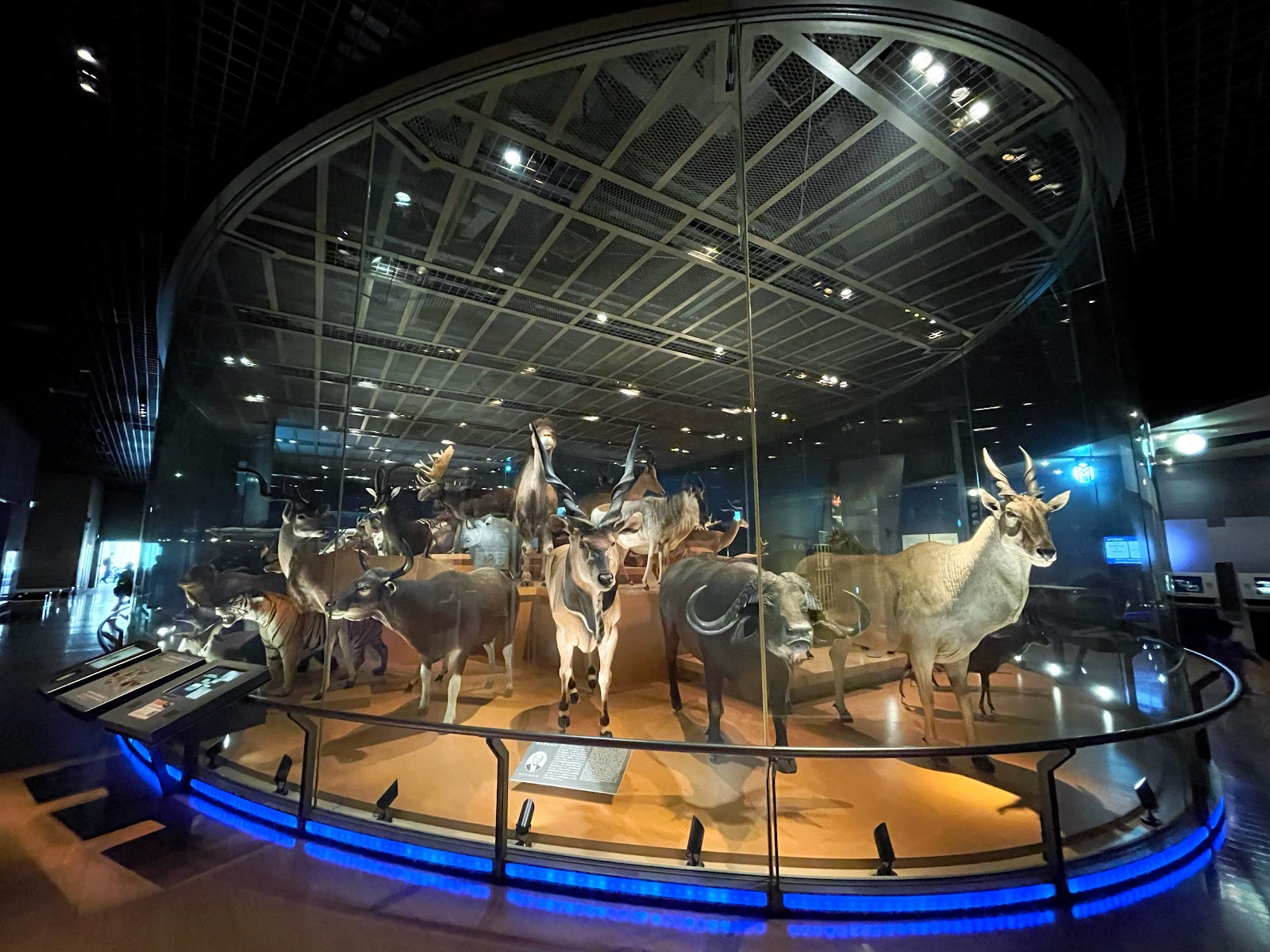 National Museum of Nature and Science — photo 2