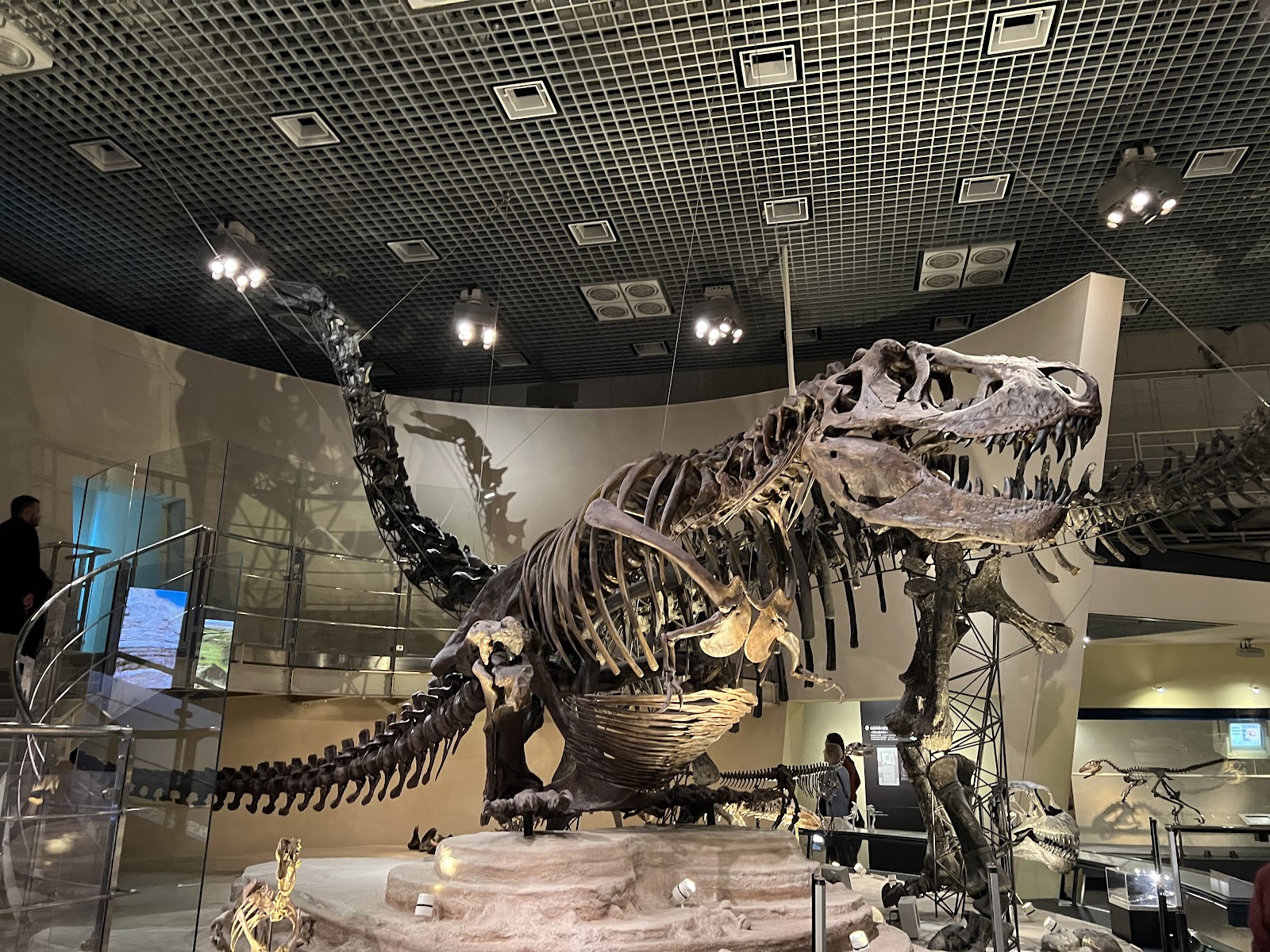 National Museum of Nature and Science — photo 4