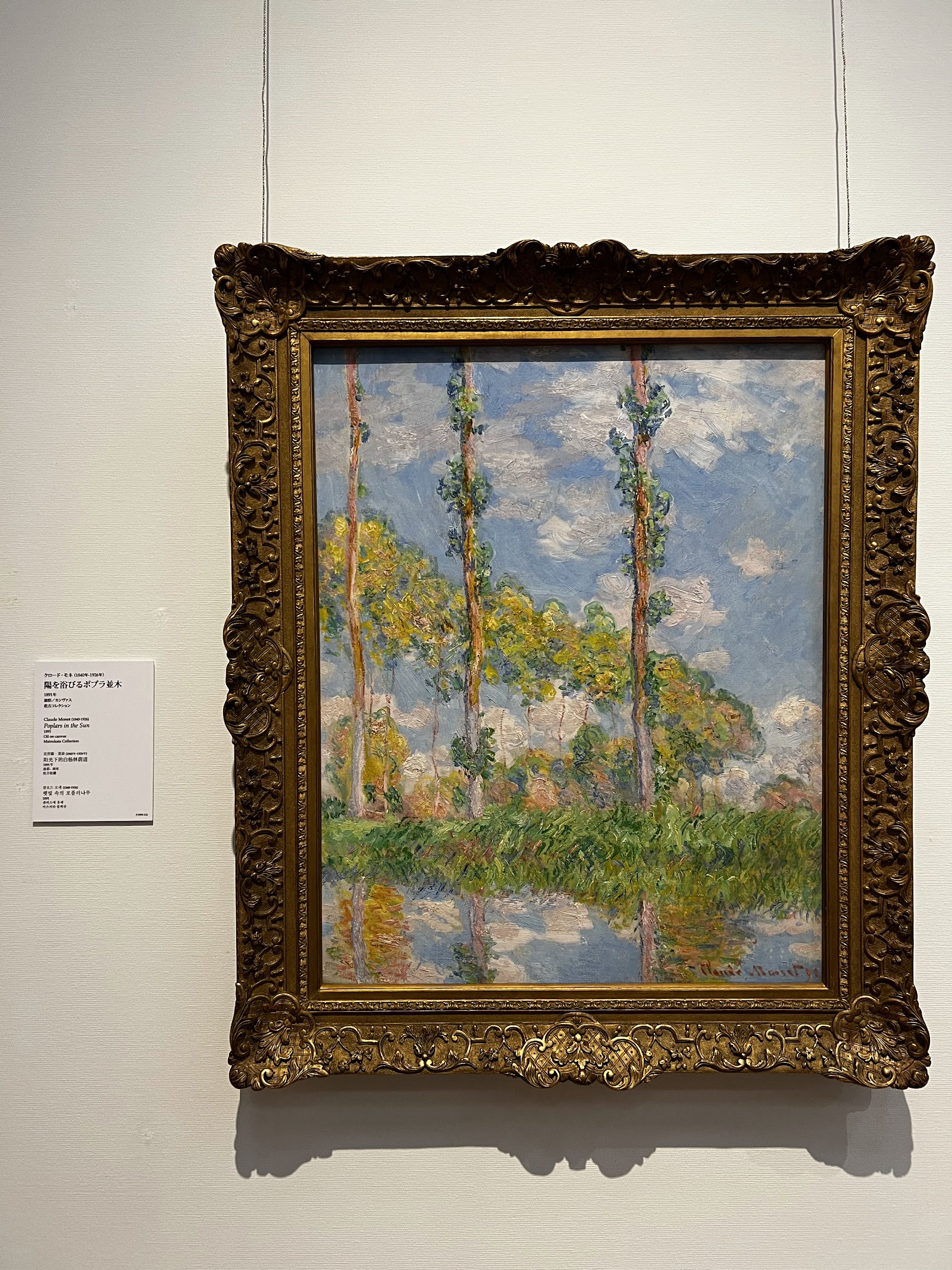 National Museum of Western Art — photo 4
