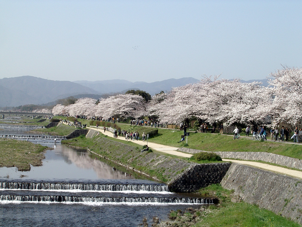 Kamo River