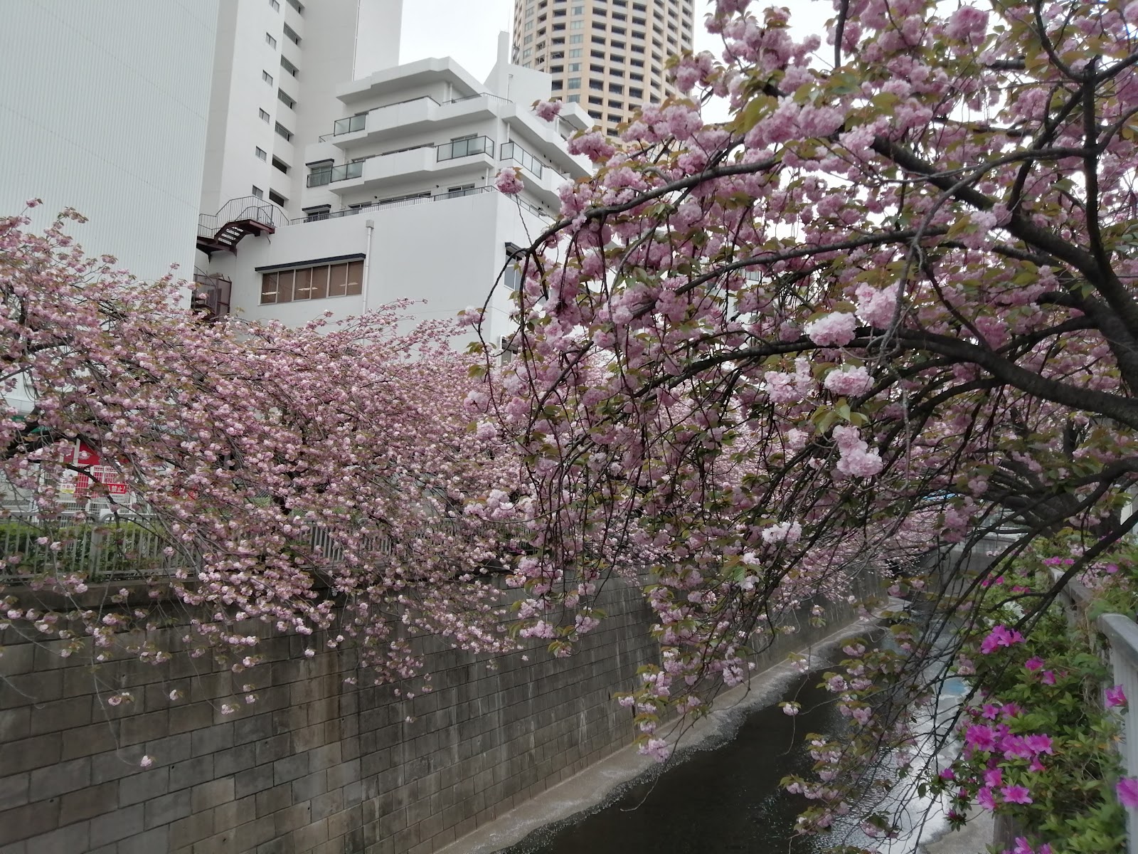 Nakameguro — photo 1